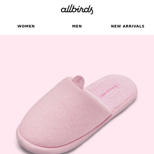 The Dreamiest Slipper