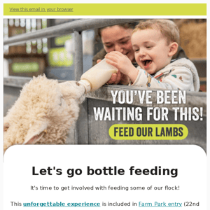 🍼 Bottle feed our lambs