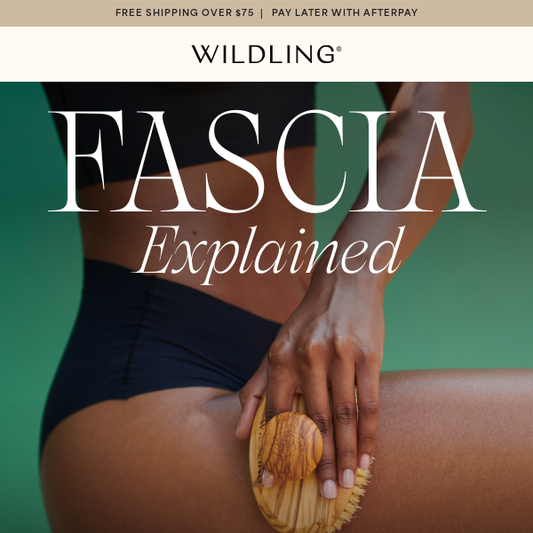 Fascia, Explained ❤️