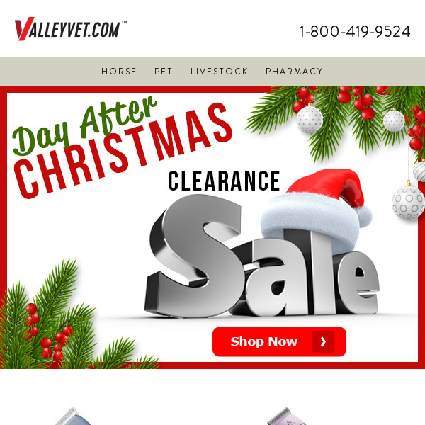 After-Christmas Clearance Sale