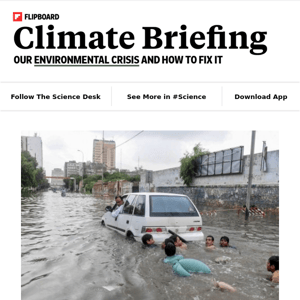 Your weekly climate briefing