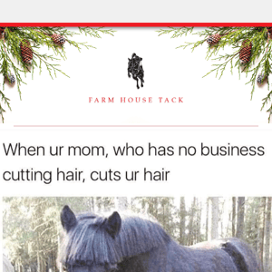 How To: Pull Your Horse's Mane 🐴