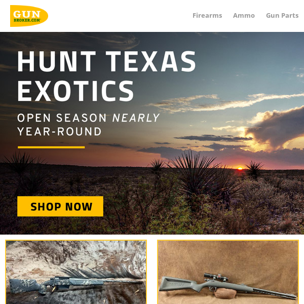 Hunt Texas Exotics. Open season nearly year round.