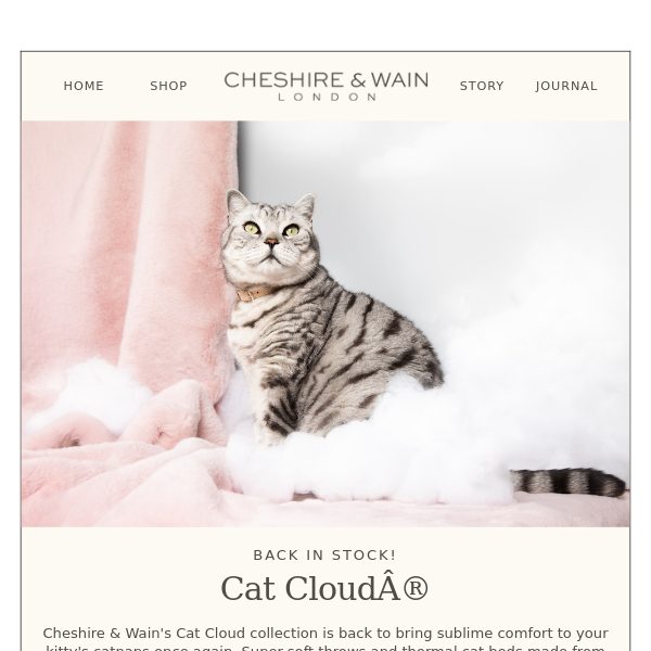 Cat Cloud Beds & Throws are Back in Stock! ☁️