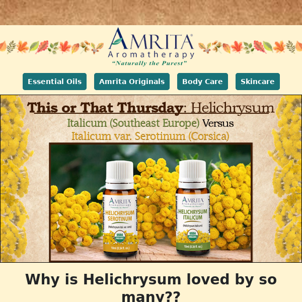 Natural Anti-inflammatory Helichrysum Italicum