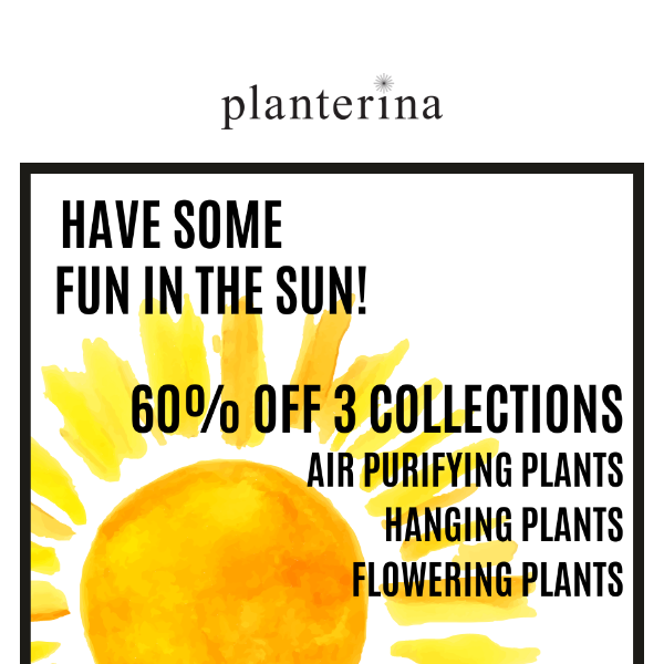 Great deals & NEW plants added!🌞