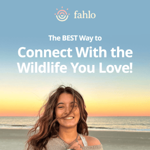 Immerse Yourself in Wildlife: Best Ways to Stay Connected with Fahlo!