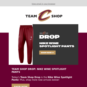 Nike Spotlight Pants ⬇️ Team Shop Drop