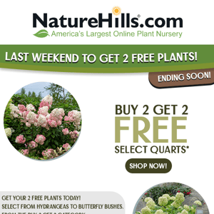 Last Chance to Get 2 FREE Plants!