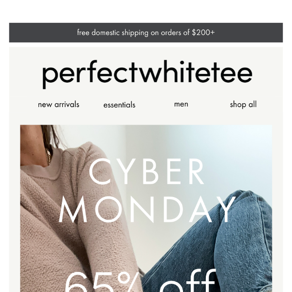cyber monday: save 65% on sale