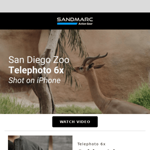 San Diego Zoo: Shot on Telephoto 6x