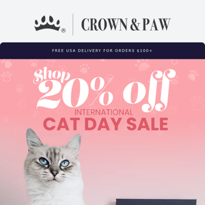 Take 20% OFF Your Order Today 🐱 🎉