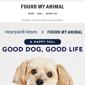 NEW! Smaller Sizes Now Available! Found My Animal x Vineyard Vines Limited Edition ❤️