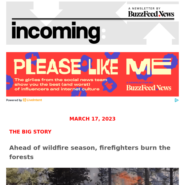 Burning the forests ahead of wildfire season