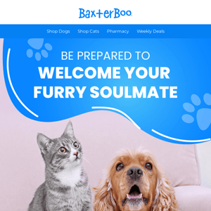 Find Your Furry Soulmate 🐕🐈