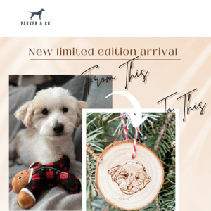 Custom Pet Ornaments are now available!!!