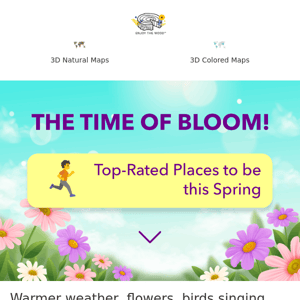 The time of Bloom! 🌷