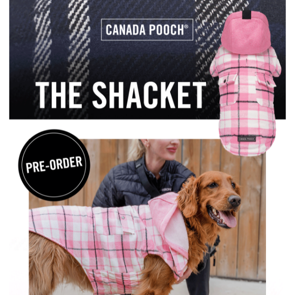 NEW 🍂 The Shacket, But For Dogs!