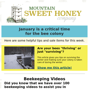 A survival guide for maintaining your bee colony in the winter. FREE New Videos Available