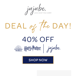 DEAL OF THE DAY! Save 40% OFF