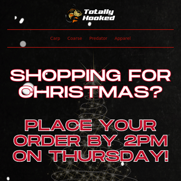 24 Hours Left For Christmas Delivery PLUS 10% Off EVERYTHING!