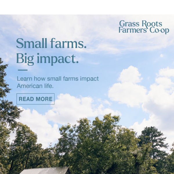 IMPACT: Small Farms - Sustaining Our Economy and Ecosystems