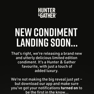 New: Limited edition condiment landing soon…