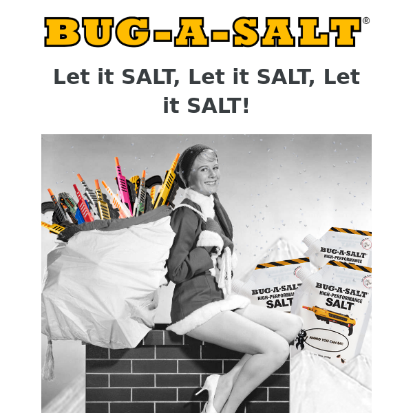 Buy a BUG-A-SALT 3.0, get FREE SALT AMMO!