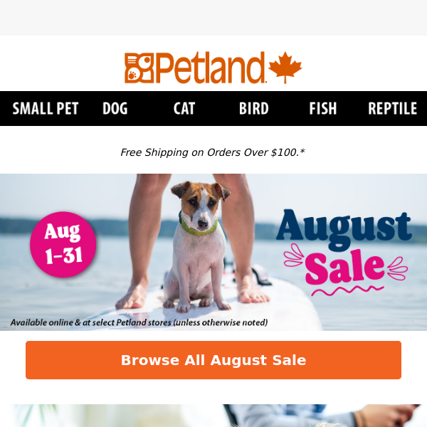 Fetch Hot Savings for Your Pets This August! ☀️