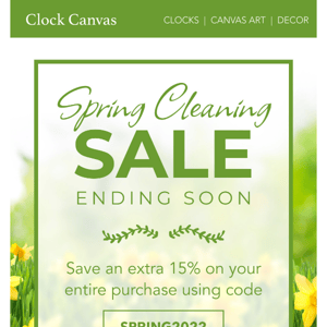 Last Chance - Don't Miss Our Spring Cleaning Sale! 🌱