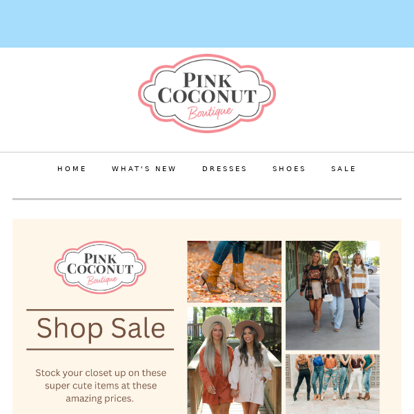 Unbelievable Bargains at Pink Coconut Boutique: Everything $9.99 and Under!