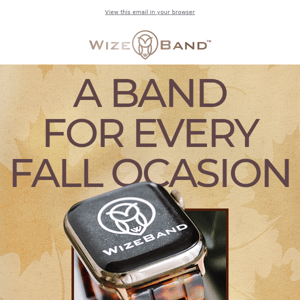 A Band For Every FALL Ocasion 🍂