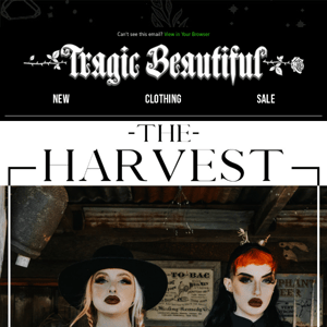 🍂 The Harvest: Autumn Edit 🍂