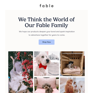 Fable Family Means Everything