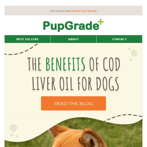 Why your dog needs cod liver oil