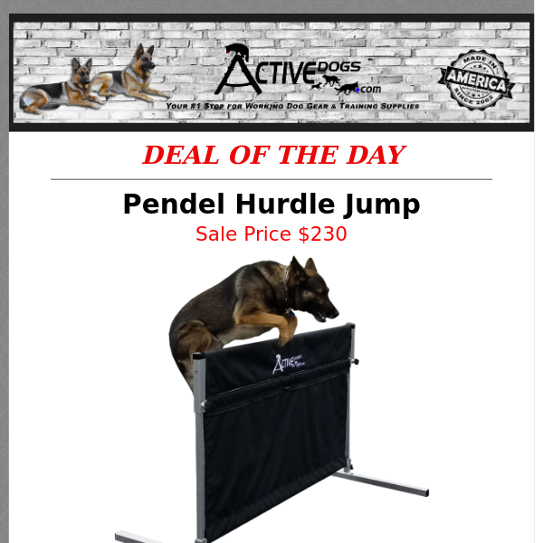 Daily Deal - Pendel Hurdle Jump