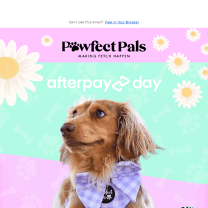 25% off EVERYTHING for Afterpay Day! 🥳