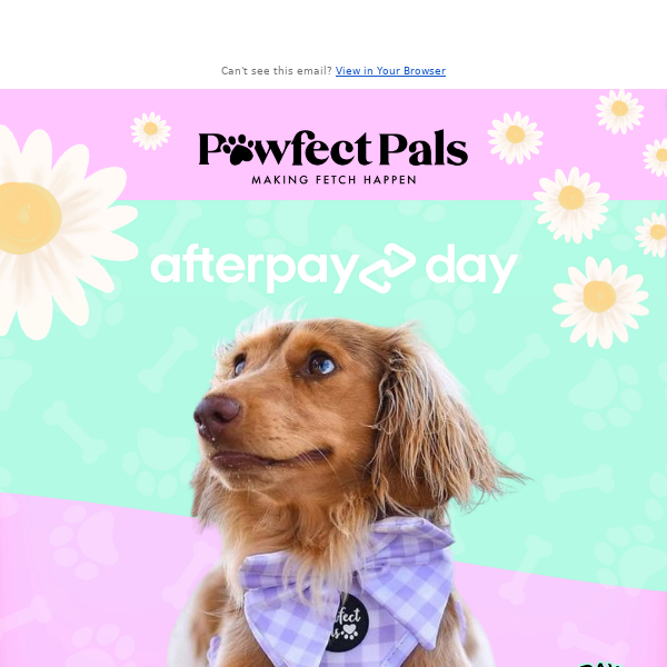 25% off EVERYTHING for Afterpay Day! 🥳