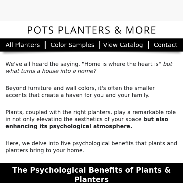 You Won't Believe How Much a Planter Can Do for Your Well-Being