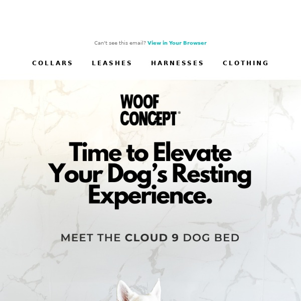 Time to Elevate your dog's resting journey!