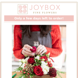 The countdown to Christmas is on! These are the last few days to order your Holiday JoyBox