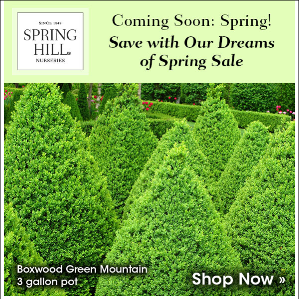 Thinking of Spring? Save Up to 25%