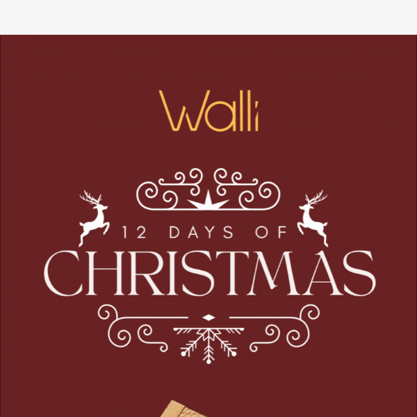 🎁 This Christmas Walli Cases gave to me...