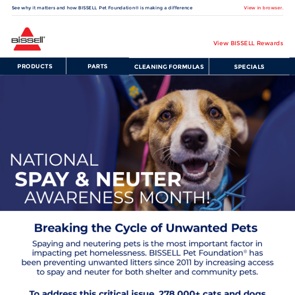 February is 🐕 National Spay & Neuter Awareness Month