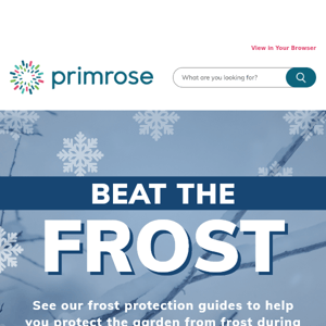 Beat the frost with Primrose