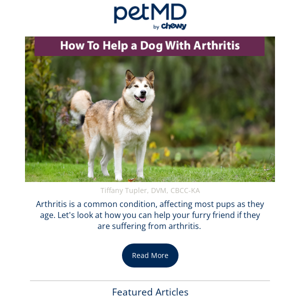 How To Help a Dog With Arthritis