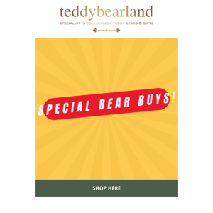 HAVE YOU SEEN OUR SPECIAL BEAR BUYS? // CHECK IT OUT! ⭐