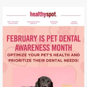 It's Pet Dental Awareness Month! 🦷🐾