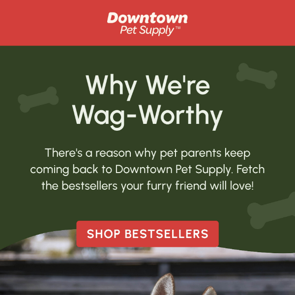 Tail-Wagging Bestsellers