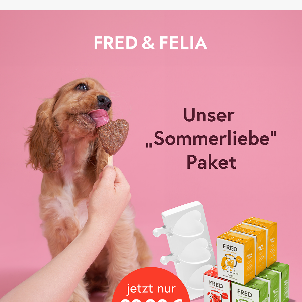 Gesundes Eis für Deinen Hund - schnell und einfach selbst gemacht!